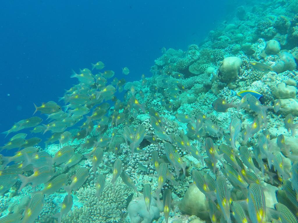 Ras Beach Inn Rasdhoo Exterior foto